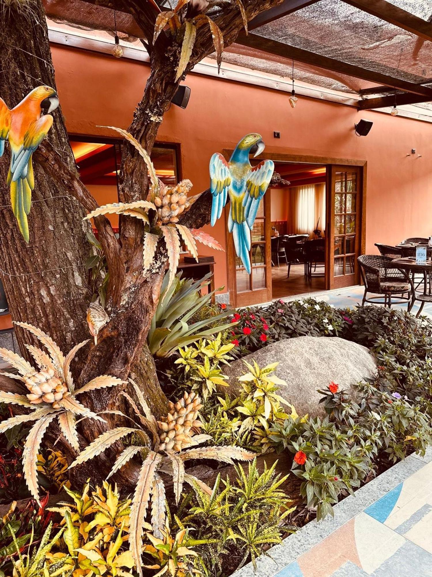 Hotel Chácara Comary Teresópolis Exterior foto